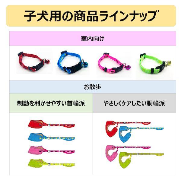 アース・ペット 4994527946100 ハンドラー 初めてのお散歩デビュー ソフト首輪付引ひも 子犬〜超小型犬用 バグ グリーン |  | 05