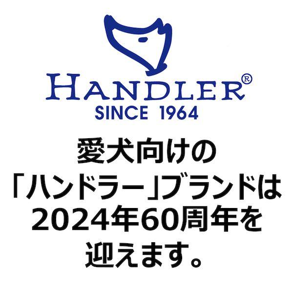 アース・ペット 4994527946100 ハンドラー 初めてのお散歩デビュー ソフト首輪付引ひも 子犬〜超小型犬用 バグ グリーン |  | 07