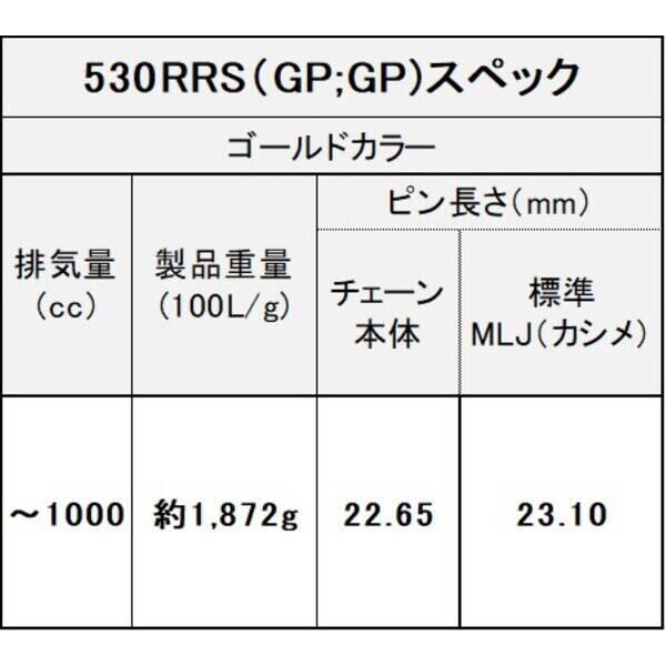 江沼チェーン EKチェーン 4571291775732 EK チェーン 530RRS(GP:GP) 110 MLJ_3