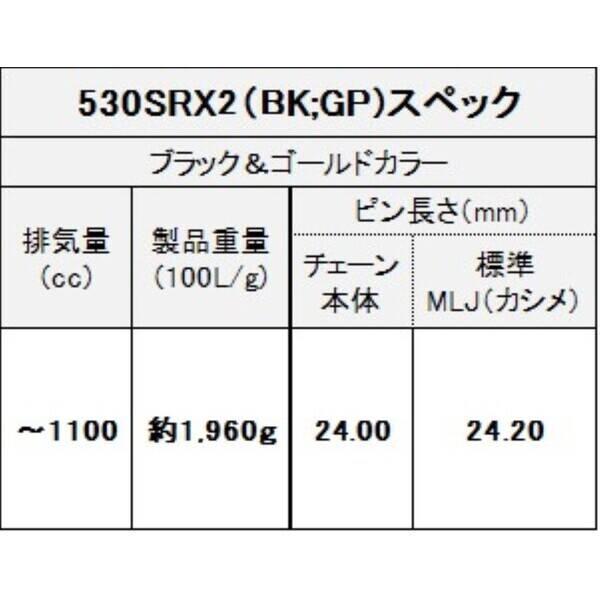 江沼チェーン EKチェーン 4571291760233 EK チェーン EK530SR-X2(BK:GP) 110 MLJ_4