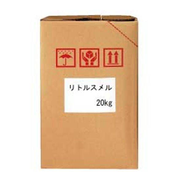 龍笛 花梨 紐巻き　桐箱(布袋付き) 龍笛 花梨 紐巻き 桐箱(布袋付き) 龍笛 袋 楽器」の人気商品一覧 |