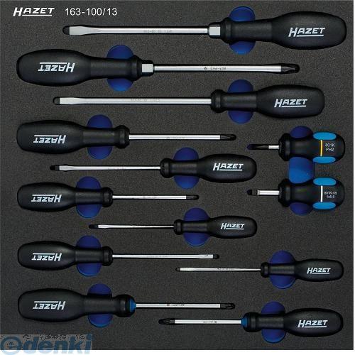 ハゼット HAZET 163-100 13   ソフトフォーム２コンポーネント工具セット 163100 13