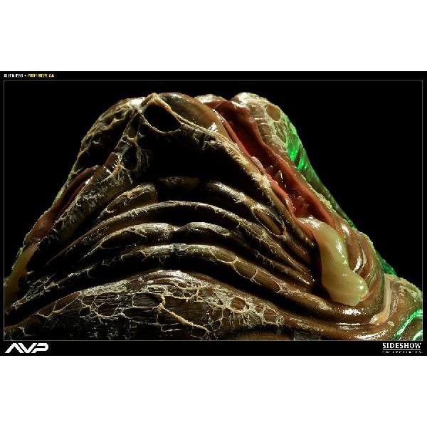 サイドショウ・コレクティブル「AVP(エイリアンVSプレデター サイドショウ・コレクティブル「AVP(エイリアンVSプレデター