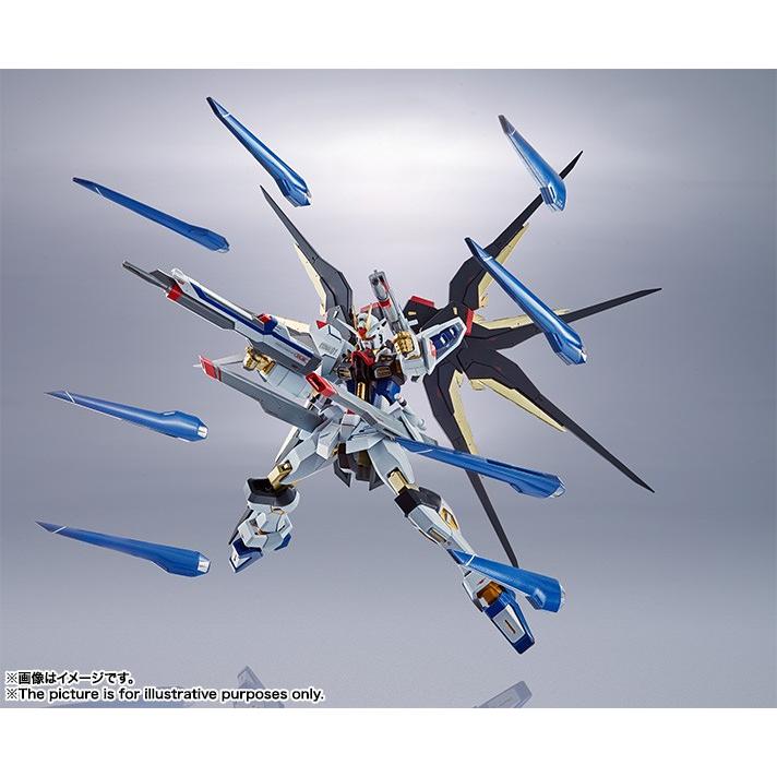 BANDAI（バンダイ） METAL ROBOT魂 SIDE MS 機動戦士ガンダムSEED