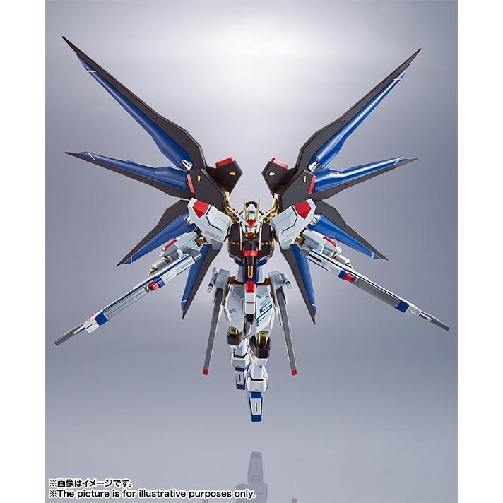 BANDAI（バンダイ） METAL ROBOT魂 SIDE MS 機動戦士ガンダムSEED