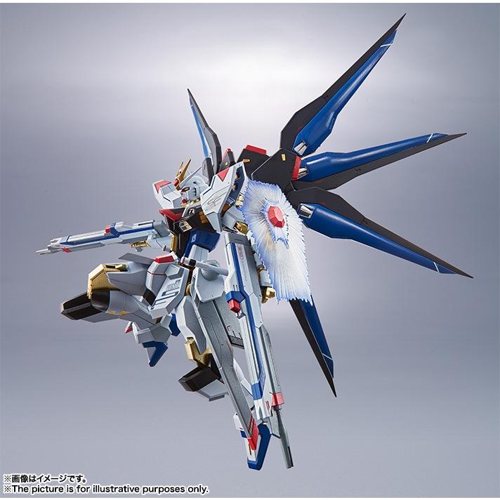 BANDAI（バンダイ） METAL ROBOT魂 SIDE MS 機動戦士ガンダムSEED