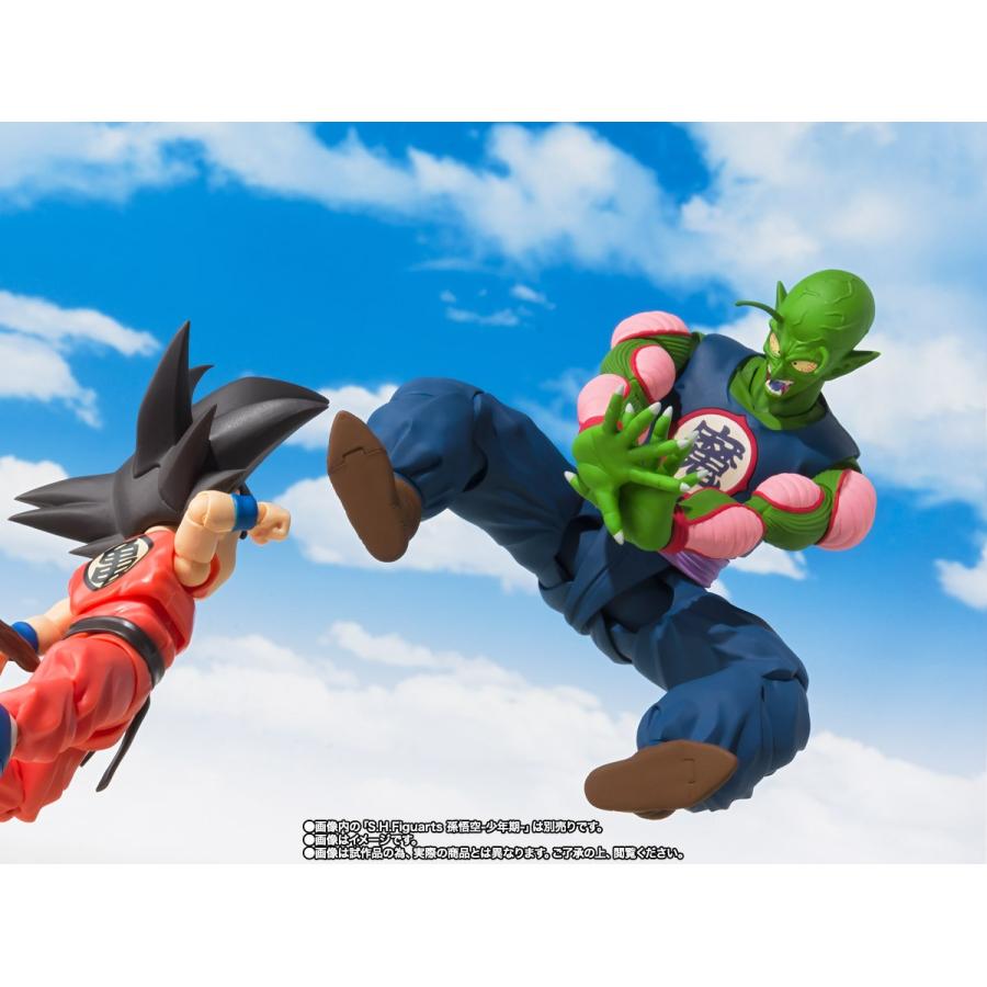BANDAI（バンダイ） バンダイスピリッツ S.H.フィギュアーツ