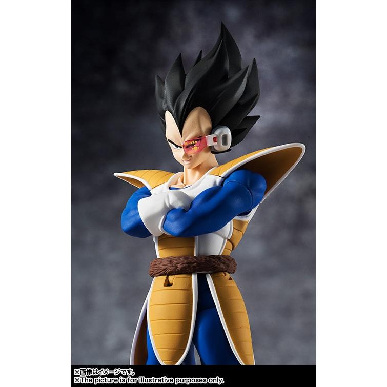BANDAI（バンダイ） S.H.フィギュアーツ ドラゴンボールZ ベジータ
