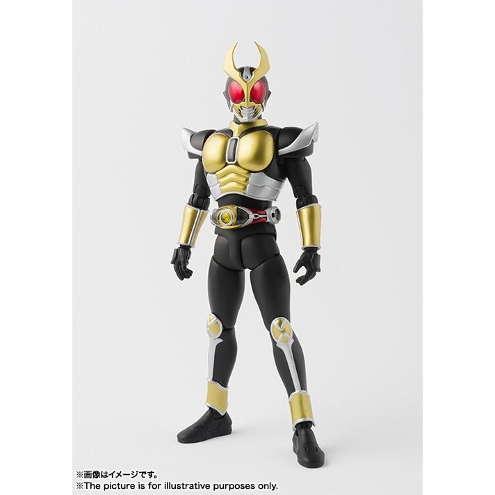 BANDAI（バンダイ） S.H.フィギュアーツ 真骨彫製法 仮面ライダー