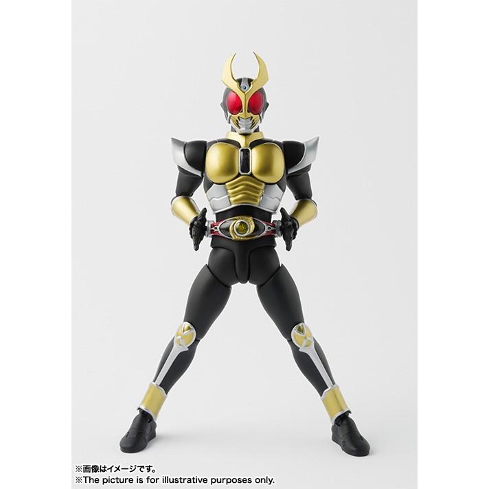 BANDAI（バンダイ） S.H.フィギュアーツ 真骨彫製法 仮面ライダー