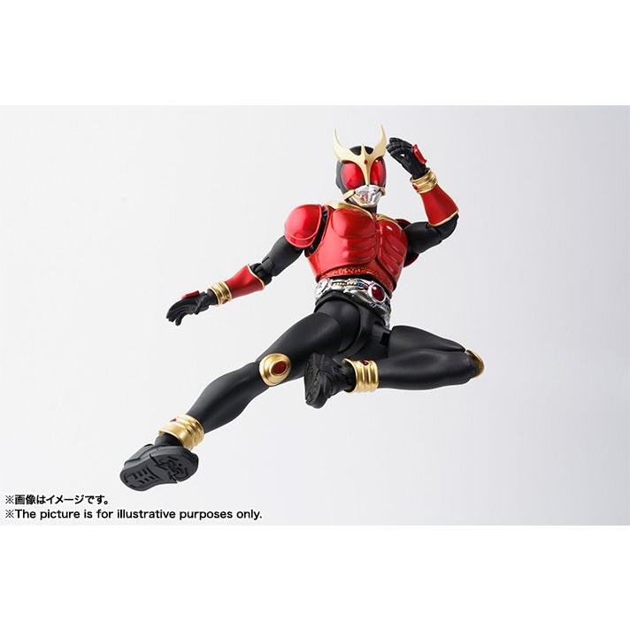 BANDAI（バンダイ） S.H.フィギュアーツ 真骨彫製法 仮面ライダー