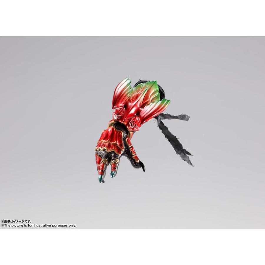 BANDAI（バンダイ） バンダイスピリッツ S.H.フィギュアーツ 真骨彫