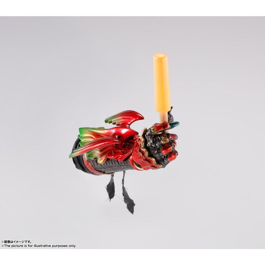BANDAI（バンダイ） バンダイスピリッツ S.H.フィギュアーツ 真骨彫