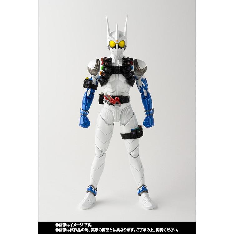 BANDAI バンダイ S.H.フィギュアーツ 真骨彫製法 限定品 仮面