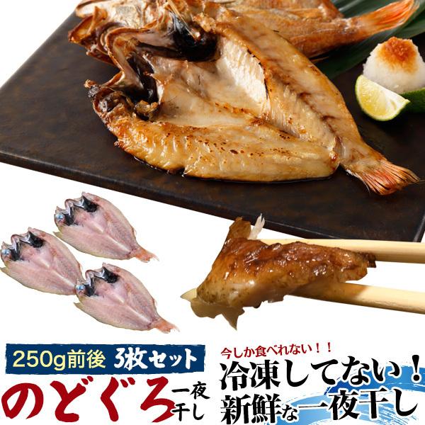 最新発見 のどぐろ一夜干しノーフローズン 約250g前後 3枚セット 熨斗 名入れ対応可能 のどぐろ 一夜干し ノーフローズン 約250g前後 3枚セット 塩焼き 特大 煮付け ノドグロ あかむつ アカムツ のど黒 送 魚介類 海産物 Headshotsbar Com