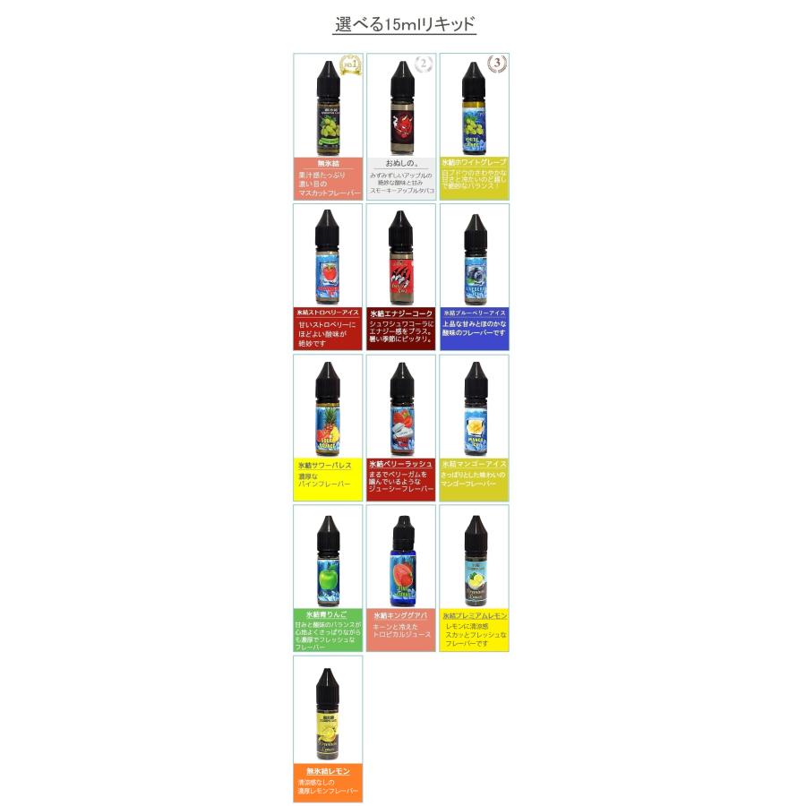 【選べる15mlリキッド付き】Innokin Endura S1 650mAh 2ml 使い捨てタイプ スターターキット イノキン エンデューラ エスワン 電子タバコ ベイプ vape [R-12] |  | 10