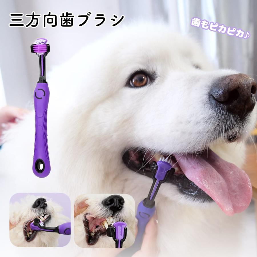 ペット用 グルーミング&ケア 9点セット ペットブラシ 犬 猫 ケア用品