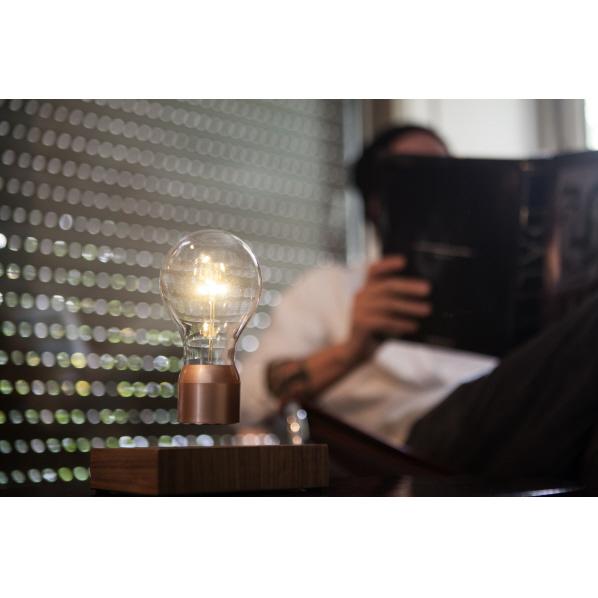 FLYTE（フライト） THT Japan FLYTE LED照明機器 (BM）ウォルナット 