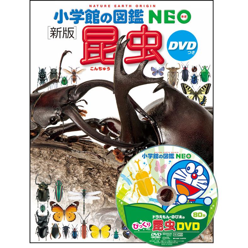 図鑑　12冊　DVD付き 小学館の図鑑NEO（ネオ）3 昆虫 新版』（小学館） : エディオン蔦屋