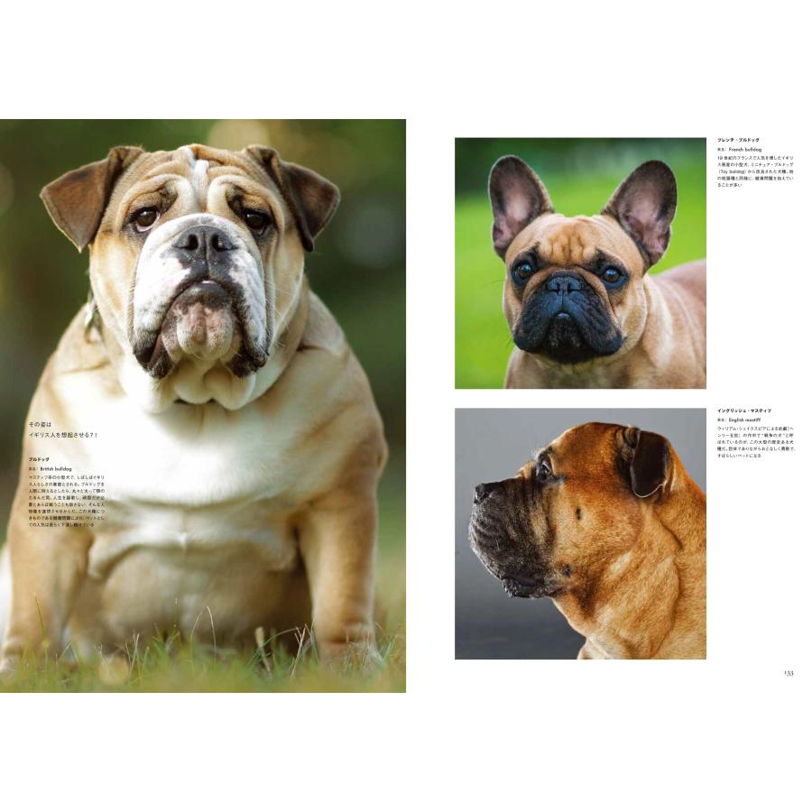 世界の飼い犬と野生犬』トム・ジャクソン 菊水 健史 倉橋 俊介 世界の飼い犬と野生犬』トム・ジャクソン 菊水 健史 倉橋 俊介