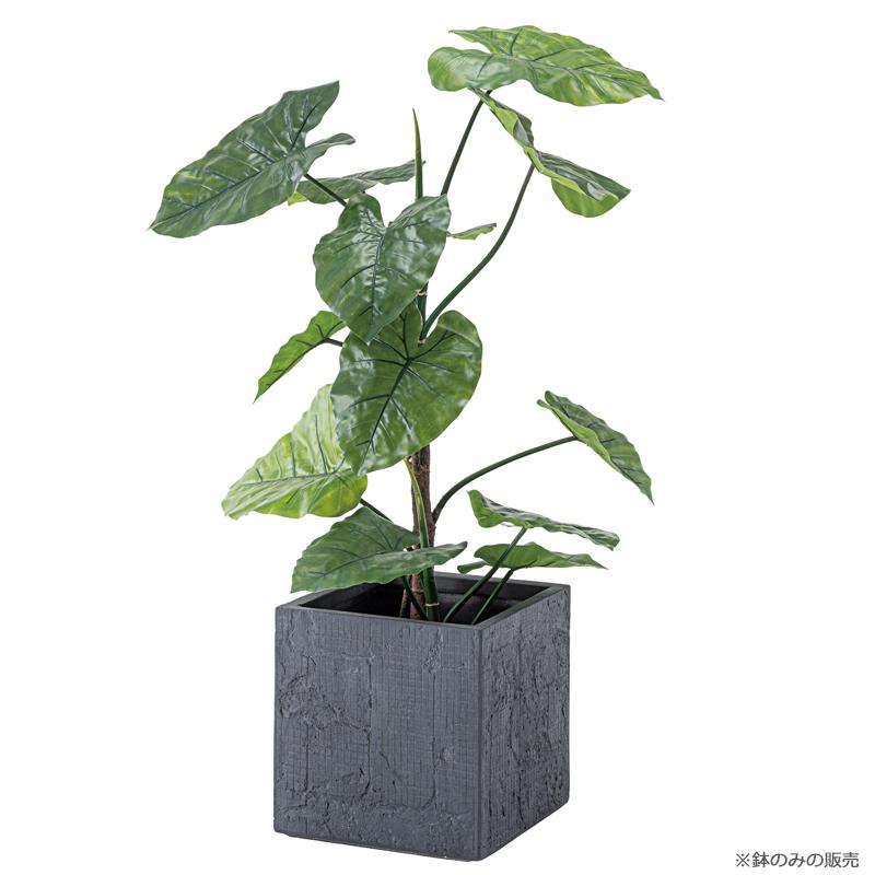 【Filet】フィレ スクエア L 植木鉢 鉢植え 鉢 アンティーク かっこいい Filet】フィレ スクエア L 植木鉢 鉢植え 鉢 アンティーク かっこいい