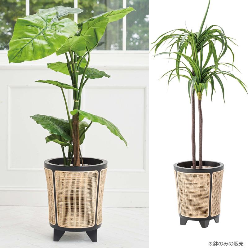 藤、ラタンプランターカバー プランターカバー ラタン製 ホワイトウォッシュ 丸型 約15.5