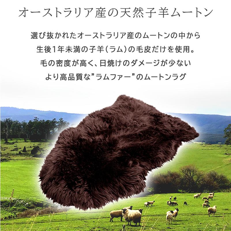 ムートンラグ ラグ 60×90cm 本革 1匹物 子羊 ラムファー 羊毛 長毛