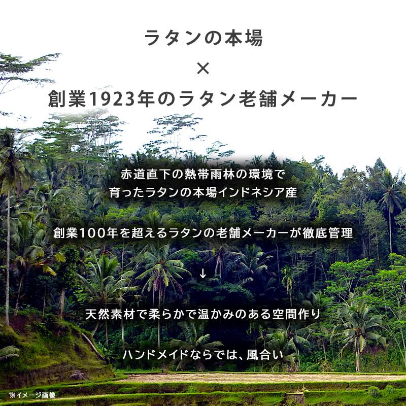 スクリーン パーティション 衝立 ラタン 籐 2連 ロー 高さ100cm