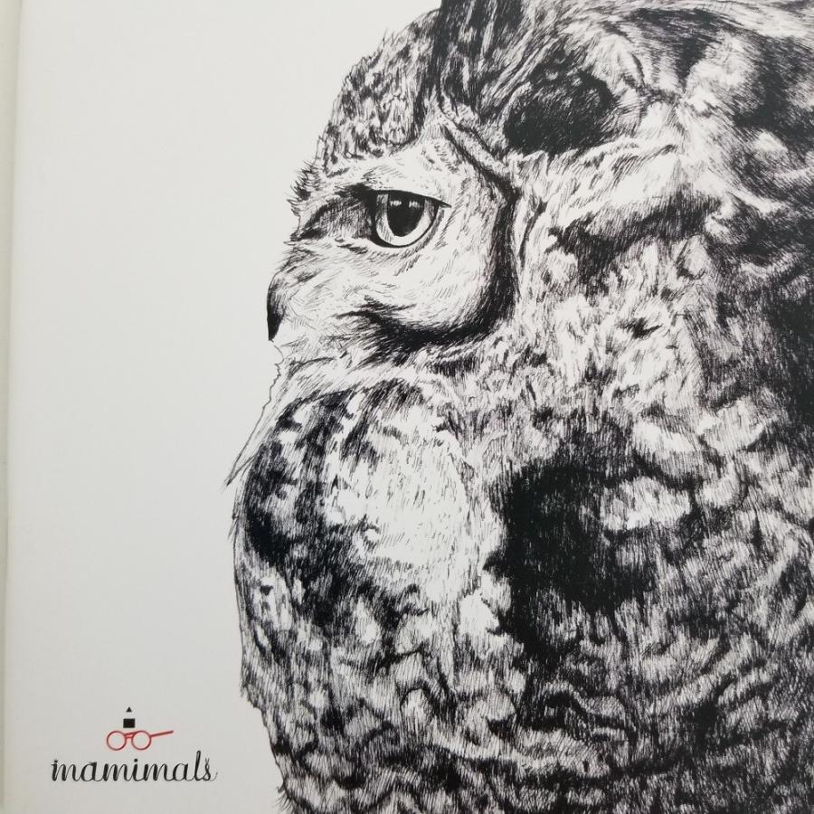 なかの真実 かわいい A5ノート ノート 動物 ふくろう 幸せの鳥 Nma5ノート Owl横顔 Nma502 ざっかたうん 通販 Yahoo ショッピング