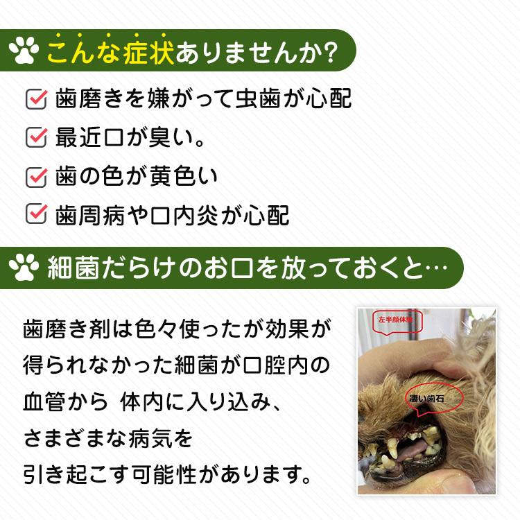 犬 歯磨き 犬 歯石除去 イオン犬はみがき 無添加 犬 デンタルケア 犬口臭  犬猫歯磨き粉｜edogmeister3｜03