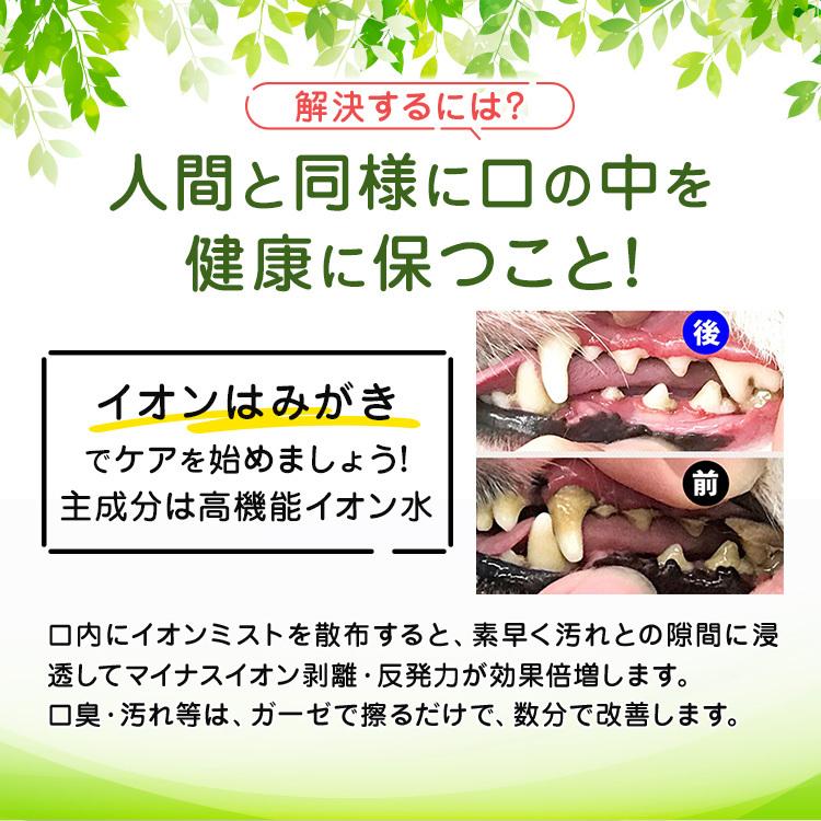 ペット用歯磨き 犬 歯石除去 イオン犬はみがき 無添加 業務用１００ML 犬 口臭 犬 歯磨き粉｜edogmeister3｜03