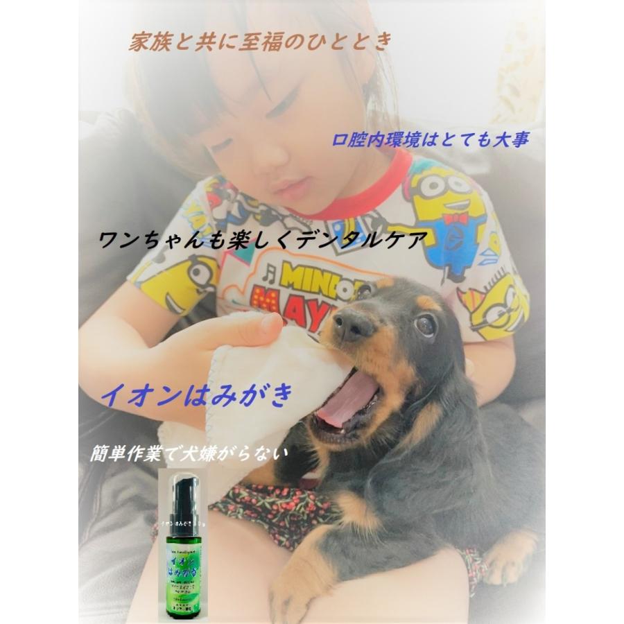 ペット用歯磨き 犬 歯石除去 イオン犬はみがき 無添加 業務用１００ML 犬 口臭 犬 歯磨き粉｜edogmeister3｜07