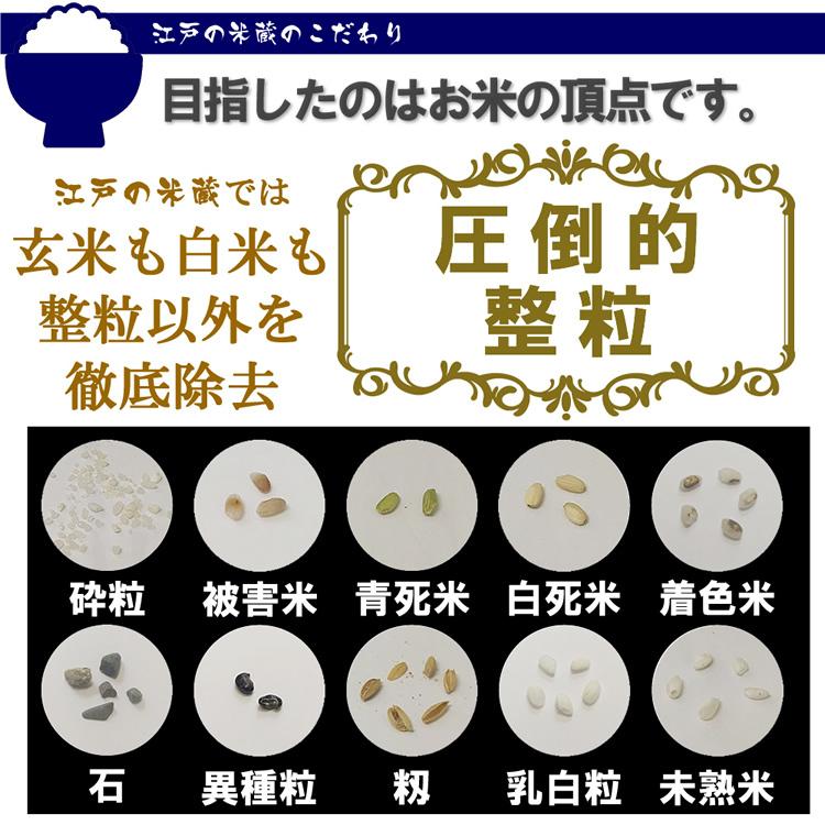 コシヒカリ お米 5kg 新米 令和6年産 新潟県 魚沼産コシヒカリ コシヒカリ お米 5kg 新米 令和6年産 新潟県 魚沼産コシヒカリ