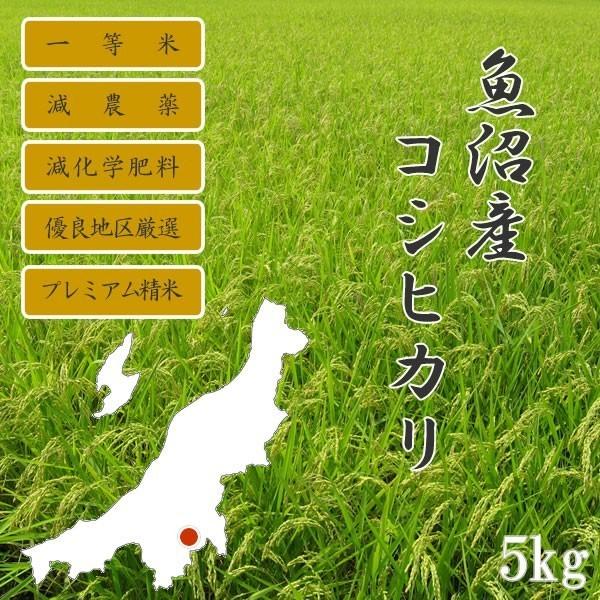コシヒカリ お米 5kg 新米 令和6年産 新潟県 魚沼産コシヒカリ コシヒカリ お米 5kg 新米 令和6年産 新潟県 魚沼産コシヒカリ