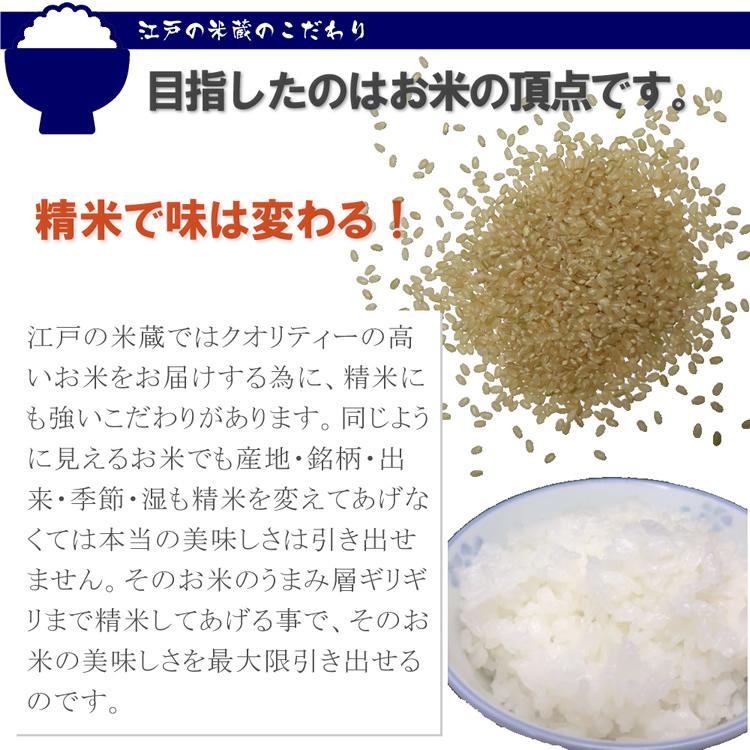 コシヒカリ 新潟産 5kg 新米 令和7年産 特別栽培米 (減農薬米・減化学
