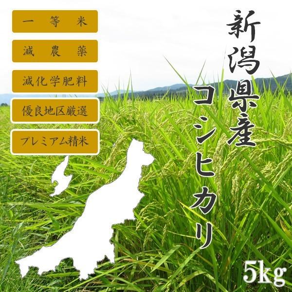 コシヒカリ 新潟産 5kg 新米 令和7年産 特別栽培米 (減農薬米・減化学
