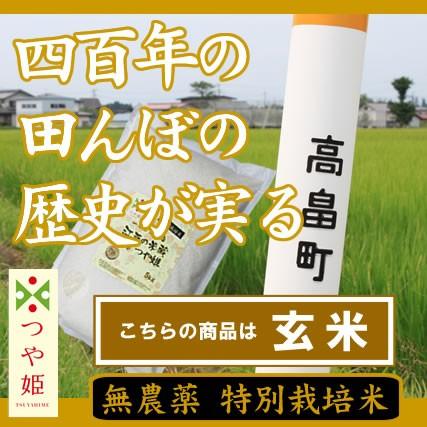 つや姫 【値下がりしました！】［玄米］【お米 新米 プチ贅沢】新米 令