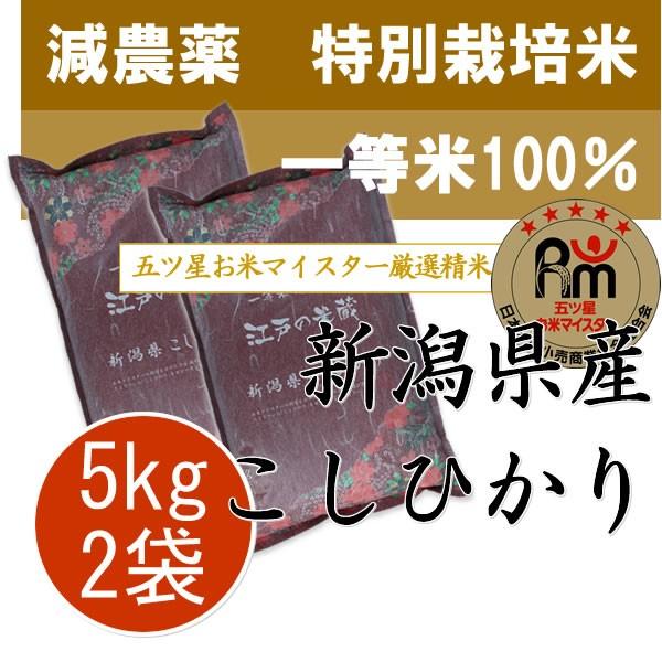 コシヒカリ 新米 令和6年産 新潟産 10kg (5kg×2袋) 特別栽培米