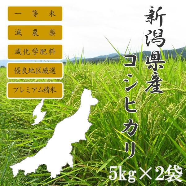 コシヒカリ 【値下がりしました！】新米 令和7年産 新潟産 10kg (5kg×2