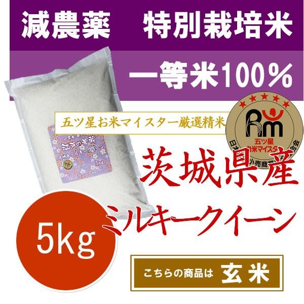 ［玄米］新米 令和5年産 特別栽培米(減農薬米・減化学肥料米) 一等米 100% 茨城県産ミルキークィーン 5kg｜edonokomegura
