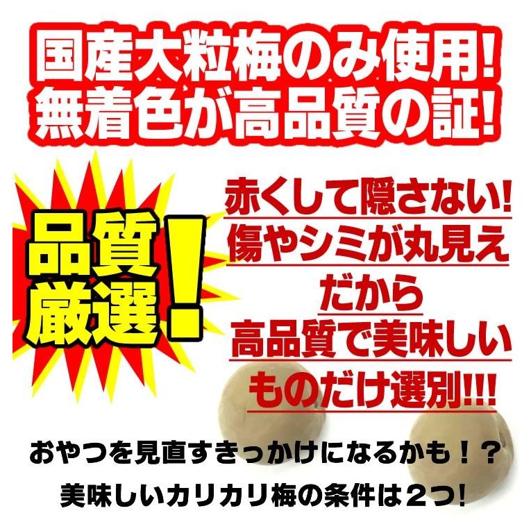 あかぎのカリカリ梅 1g 2袋 おつまみ 駄菓子 梅干し 明治26年創業 元祖 無着色 大粒国産 カリッとフルーティな塩味 セール 送料無料 Sc Af 002 Y 江戸商人 ヤフー店 通販 Yahoo ショッピング