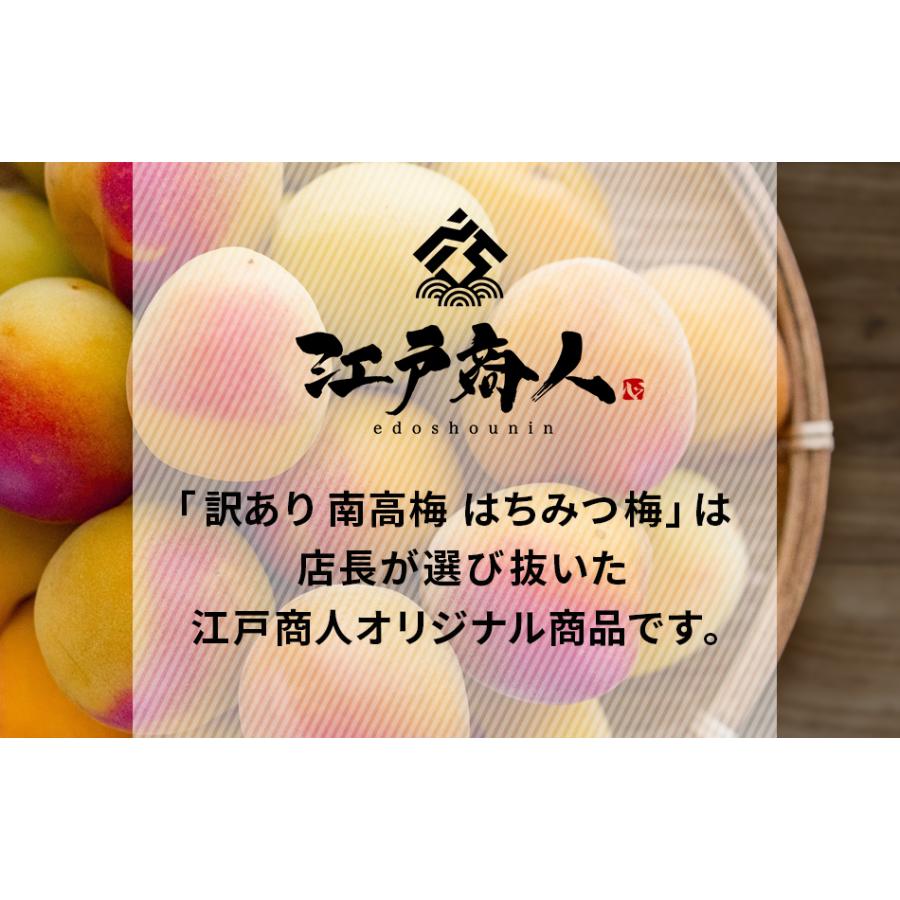 梅干し 全品超得クーポン 訳あり南高梅はちみつ梅 1kg×1箱 塩分 8% 完熟 南高梅 天日塩 うめぼし おやつ おにぎり 国産 新生活 江戸商人印 母の日｜edoshounin｜04