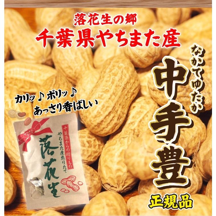 50％OFFクーポン 殻付き落花生 千葉県 国産 やちまた産 高級感