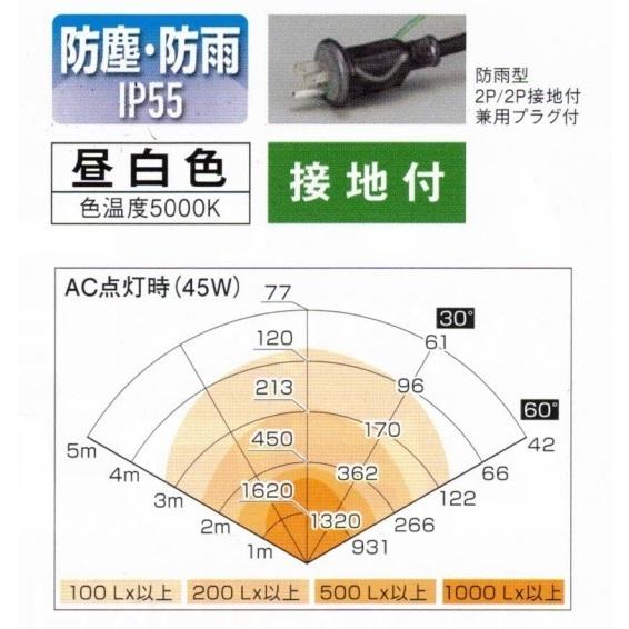 HATAYA（ハタヤ） LYZ-45KHB ハイブリットLEDランプ 接地付 屋外用 AC