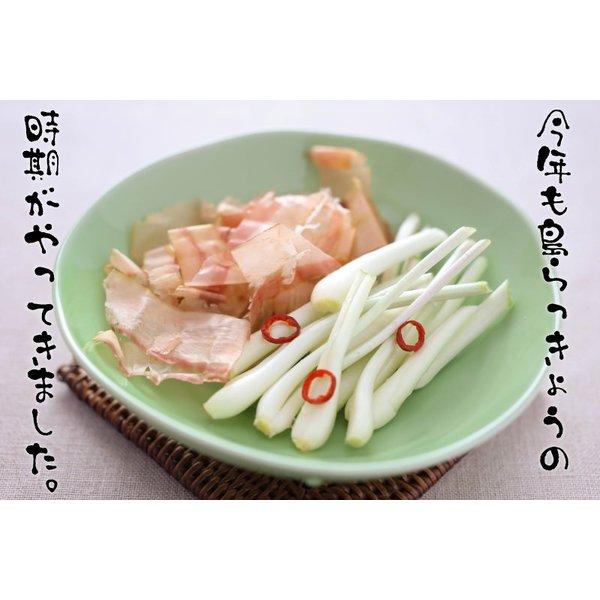 島らっきょう沖縄県産 100g 量り売り 500g以上購入で100gオマケ いよいよ旬の島らっきょう お試し 沖縄野菜 生 国産 天ぷらや塩漬に｜島らっきょう ｜ |  | 01