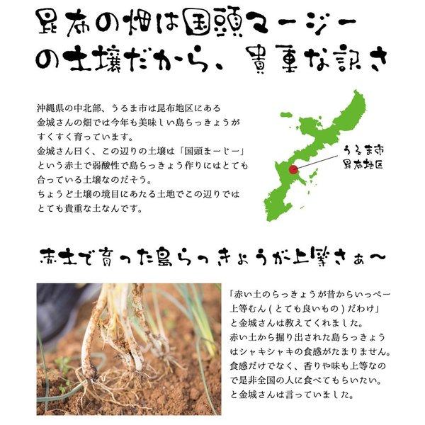 島らっきょう沖縄県産 100g 量り売り 500g以上購入で100gオマケ