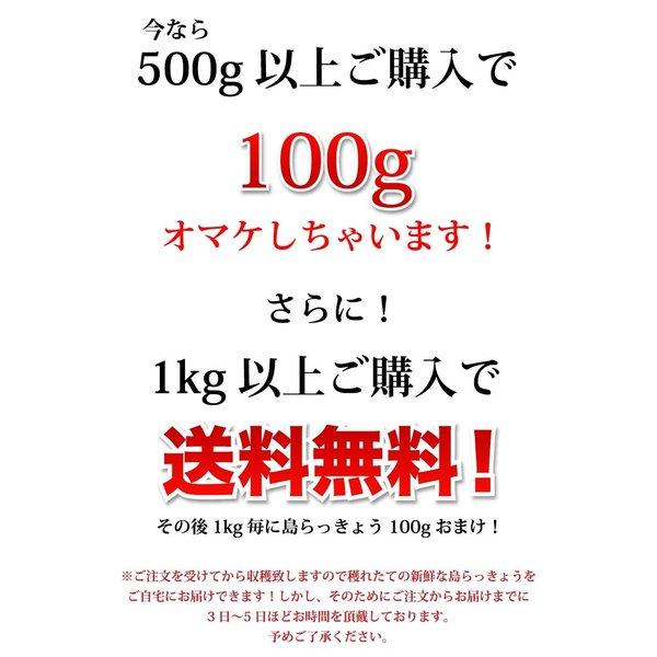 島らっきょう沖縄県産 100g 量り売り 500g以上購入で100gオマケ いよいよ旬の島らっきょう お試し 沖縄野菜 生 国産 天ぷらや塩漬に｜島らっきょう ｜ |  | 09