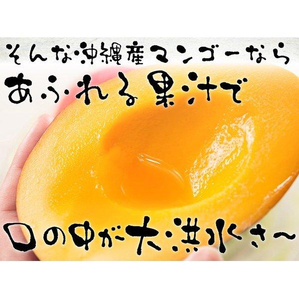 沖縄産 完熟マンゴー 2kg 4-6玉 送料無料 リピーター続出の甘さ お中元