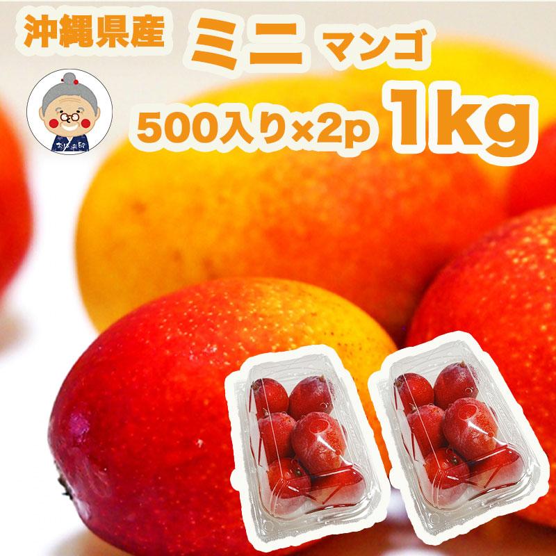 マンゴー 果物 フルーツ 訳あり 沖縄産マンゴ 2-4玉 1kgセット 送料無料 リピーター続出の甘さ 【7月中旬〜順次発送予定】｜マンゴ｜ | 