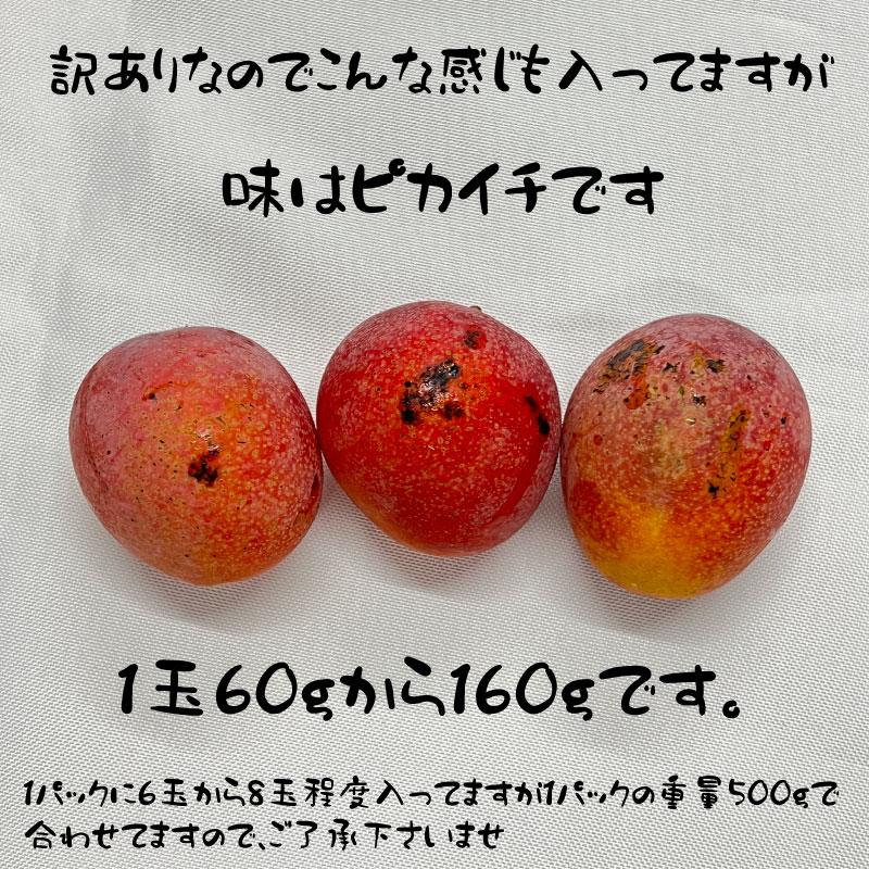 マンゴー 果物 フルーツ 訳あり 沖縄産マンゴ 2-4玉 1kgセット 送料無料 リピーター続出の甘さ 【7月中旬〜順次発送予定】｜マンゴ｜ |  | 02